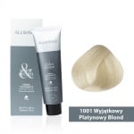 Боя за коса Allwaves Color Cream 100мл + оксидант