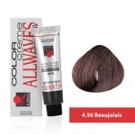 Боя за коса Allwaves Color Cream 100мл + оксидант