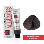 Боя за коса Allwaves Color Cream 100мл + оксидант