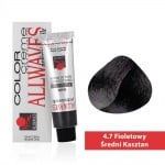 Боя за коса Allwaves Color Cream 100мл + оксидант