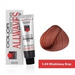 Боя за коса Allwaves Color Cream 100мл + оксидант