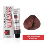 Боя за коса Allwaves Color Cream 100мл + оксидант