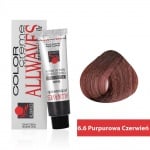 Боя за коса Allwaves Color Cream 100мл + оксидант