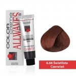 Боя за коса Allwaves Color Cream 100мл + оксидант