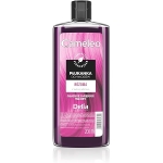 Cameleo Hair Rinsing Lotion Pink - Розова матираща обливка 200мл