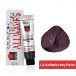 Боя за коса Allwaves Color Cream 100мл + оксидант