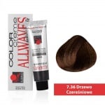 Боя за коса Allwaves Color Cream 100мл + оксидант