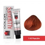 Боя за коса Allwaves Color Cream 100мл + оксидант