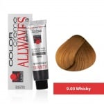 Боя за коса Allwaves Color Cream 100мл + оксидант