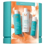 Moroccanoil Repair Spring Set